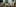 Carroussel homepage 3 - 2048x900.jpg